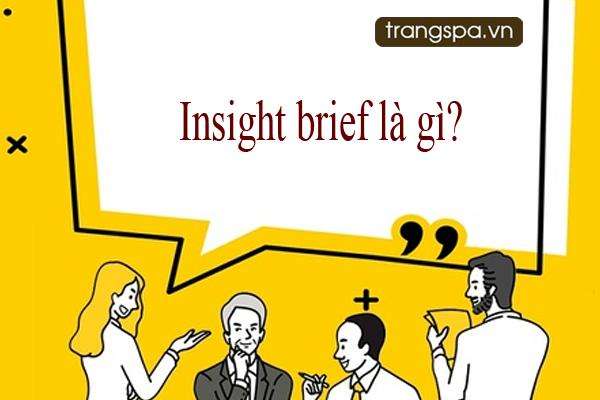 Insight brief là gì