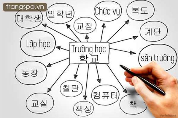 Từ vựng tiếng Hàn dành cho người mới học